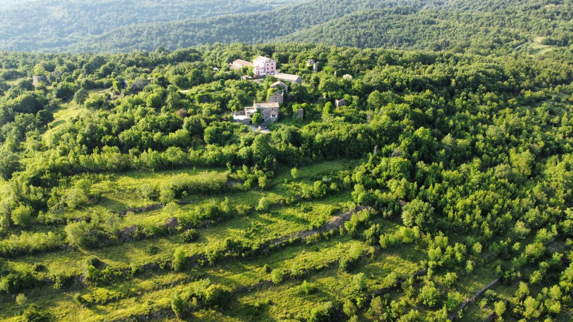 Villa Casa Del Conte - Peaceful Hideaway In North Istria Grožnjan Exterior foto